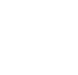 Bridge Trade